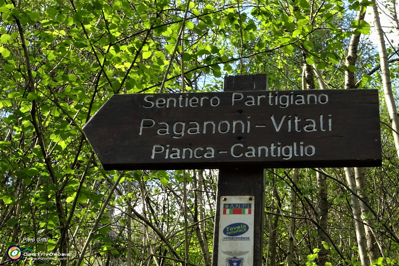 09 Rientrando alla Pianca, sul  Sentiero Partigiano 'Paganoni-Vitali' - CAI 131 .JPG